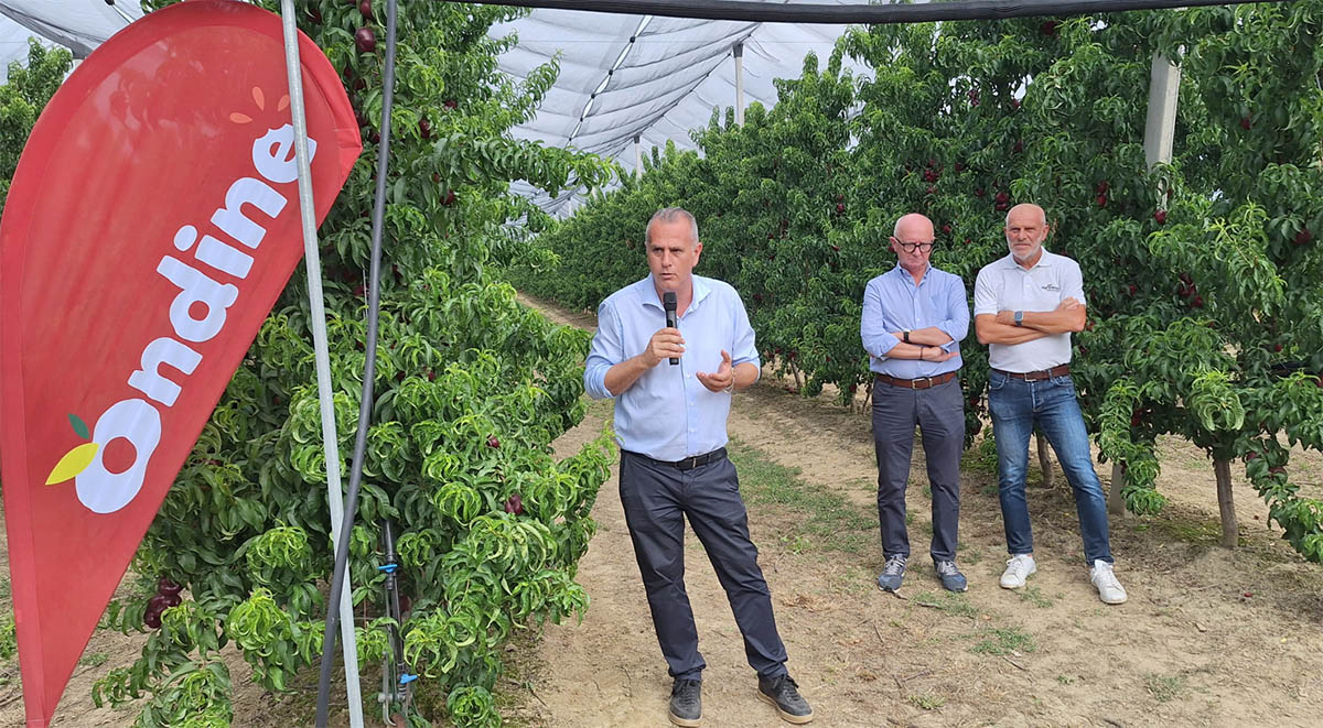 Nella foto da sinistra: Cristian Moretti, direttore generale di Agrintesa, Ugo Palara, direttore tecnico di Agrintesa e Roberto Colombo responsabile tecnico Agrintesa progetto Ondine